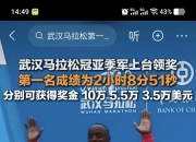 开云体育网站-冠军锦标赛中球员们拼尽全力的比赛