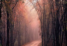 塞尔维利亚主场失利，陷入连败泥潭