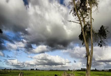 热那亚的惊世一击：当不可能成为现实