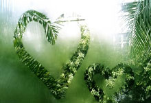 新晋球员技压群雄，扬名立万不负众望