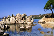 新晋球员技压群雄，扬名立万不负众望